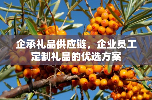 企承礼品供应链，企业员工定制礼品的优选方案